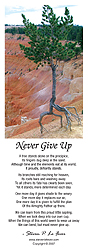 Never Give Up